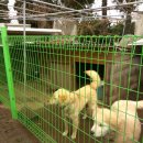 재복농장 이미지