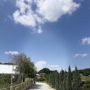 구들티농장 | 청주 강내 카페 라벤더정원 더다락농장 아이랑 데이트코스