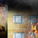 포항초등학교 이미지