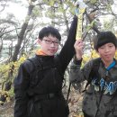 영천시 경계 도로옆 Daum카페