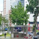 신촌역 미용실 모네헤어 간만에 염색했어요