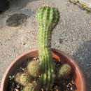 거시기집 - 안산시 상록구 | 거시기집