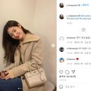 멀버리그린 이미지