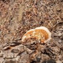 술샘체육관 이미지