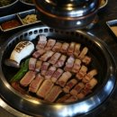 제주힐링돼지