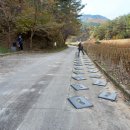 서동리 마을회관 이미지