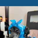 (주)잼잼 이미지