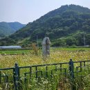 사곡리남근석 이미지