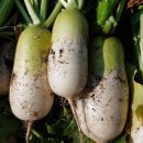 인산가 동군산대리점 이미지