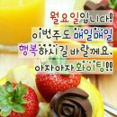 (주)참좋은행복 이미지