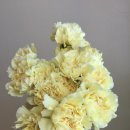 참나무요양병원 이미지