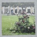 오브제 | [w] 본식부케 보관 | 메모라 블룸 부케말리기 오브제 후기