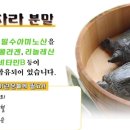다이아약국
