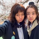 타오름 이미지