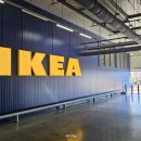 동부산 이케아 IKEA 1층 비스트로 핫도그 후기 주차 정보