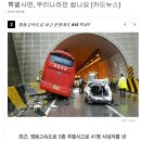 815 이미지