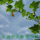 능원3리 Daum카페