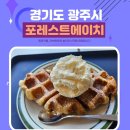 경기 광주 숲속힐링 카페 cafe forest H feat.데이트 하기 좋은 곳