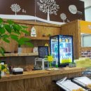 타르트 팜 이미지