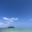 에메랄드 하우스 | 제주 일기 2일차🏝 #내돈내산