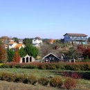 청산사슴농원 이미지