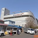 감탄떡볶이 평화점 | 군산 매운잡채 궁금해서 다녀온 군산 평화족발 솔직후기