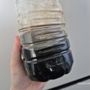 트레비 | 임신 중기 증상 - 속쓰림 위액역류 소화불량 &amp; 트레비 탄산수 후기