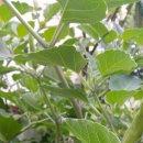 경아아구찜 이미지