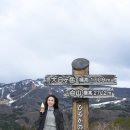 보보다방 | 나고야 시라카와고 다카야마 당일 버스투어 추천 코스