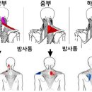 수앤테라피 이미지