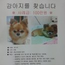 오드리 이미지