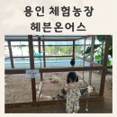 연우농장 | 용인 헤븐온어스 체험농장 실내물놀이장 후기 재방문의사는 NO