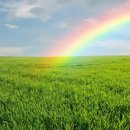 나의작은천사에게 이미지