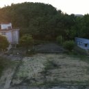 대동초선감분교장 이미지