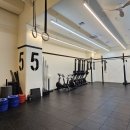 크로스핏 503 이미지