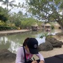 하와이 훌라댄스 중급반 | 하와이 여행 추천 3대가 함께한 하와이 민속촌 폴리네시안 문화센터 솔직 후기