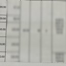 윤혜리영어학원