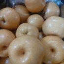 북면건강원 - 울진군 장터길 110-6 | 북면건강원