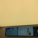 쟈스민 | 차백도 경희대점 ! 타로볼밀크티와 쟈스민밀크티 후기 🧋🤎