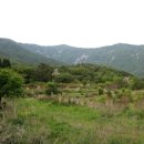 와룡목장 이미지