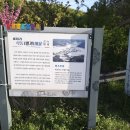 석화길 이미지