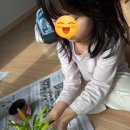 올리브나무 - 성남시 중원구 은행로7번길 24 | 올리브나무