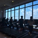 디클리셰 이미지