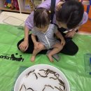 자연과창의성(주) | 홈문센 히히호호 방문수업 후기 강서구 / 시기, 기간, 비용, 대기, 장단점, 주의사항 등 모든 것