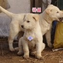 안이하우스 이미지