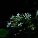연천-8 이미지