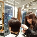 세진모드 이미지