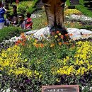 삼척공인중개사사무소 이미지