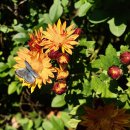 행정사 김동진 사무소 이미지