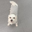 모라동우체국 | 사상속눈썹펌 잘하는 곳 모라네일 로예브